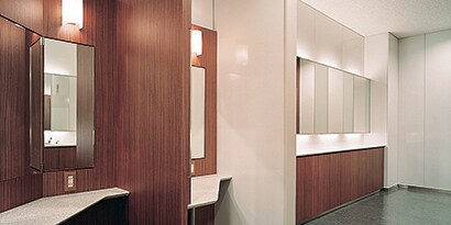 Interior of bathroom brightly lit with 3M wall wrap surface finishes over the mahogany walls
