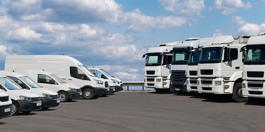 Imagen de diversos tipos de camiones, camionetas, vans y autos blancos estacionados en el exterior.
